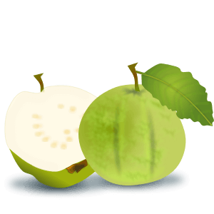 varieties of guava