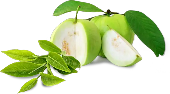 guava varietied